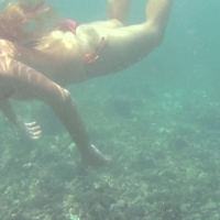 vlcsnap-2016-03-24-19h07m34s137.jpg