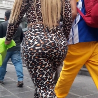 Big booty cheetah