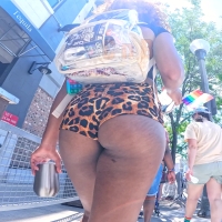 Cheetah cheeks
