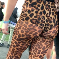 Blonde in see through leopard leggings