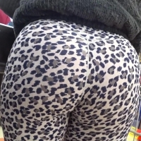 Cheetah milf phatty