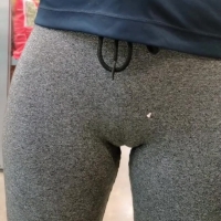 Delicious camel
