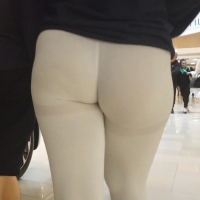 Grey phatty