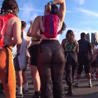 See through PAWG