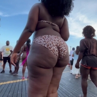 Ebony cheetah