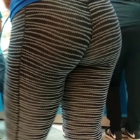 Big ass zebra