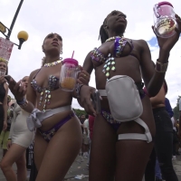 Ebony carnival babes