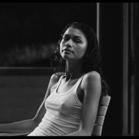 Zendaya braless with amazing pokies