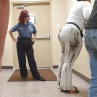 Traffic court booty