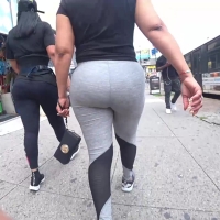 Phatty in grey