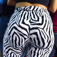Jiggly zebra