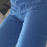 Nurse camel
