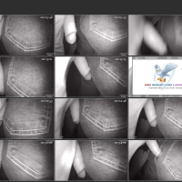 Screenshots from the Deadpit 2026 torrent GropeAss669.mp4.jpg