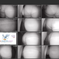 Screenshots from the Deadpit 2026 torrent GropeAss748.mp4.jpg