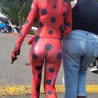 Lady bug
