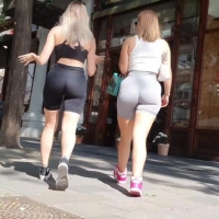Grey and black duo