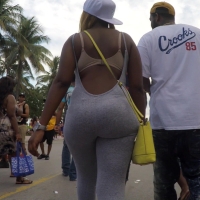 Grey phaty