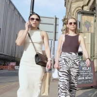 Zebra and pokies