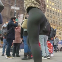 VPL blondie