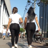 Sunlit asses