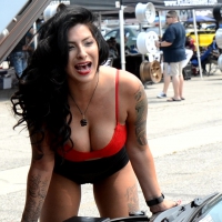 Sexy car model brunette
