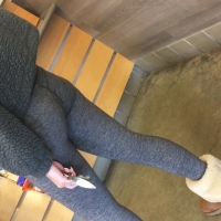 Grey leggings booty