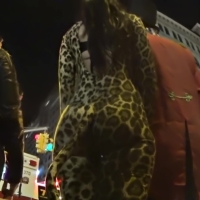 Halloween leopard