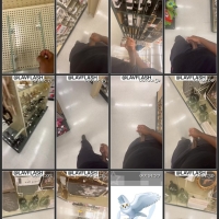 Collection of flashing and cumming on girls videos in public by Lav Flash 1_4913797342332716042.MOV.jpg