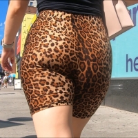 Jaguar booty